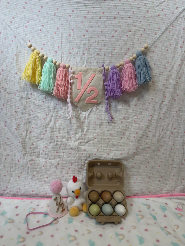 Aloura's 6 month photo set.
